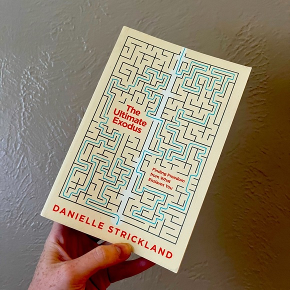 THE ULTIMATE EXODUS by Danielle Strickland soft back book - Picture 1 of 3